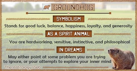 Groundhog Dreams: Symbolism and Interpretations