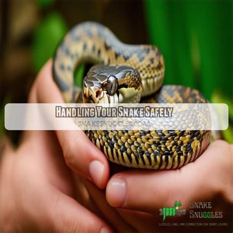 Handling Your Serpent Securely and Responsibly