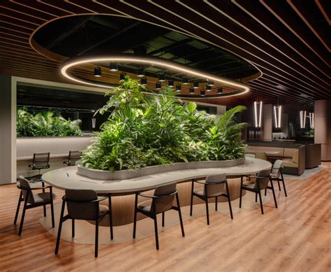 Harmonizing Living Spaces with Biophilic Design