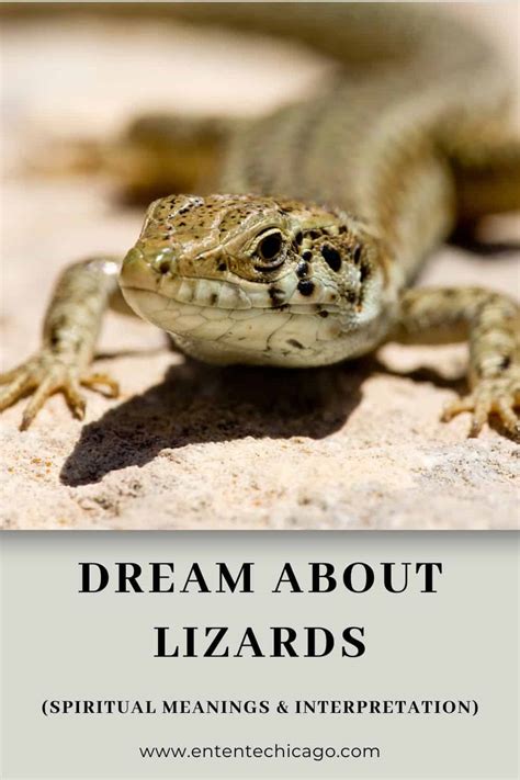 Harnessing the Power of Lizard Head Dreams for Personal Transformation