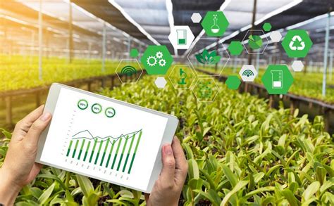 Harnessing the Power of Technology: Innovative Solutions for Crop Management