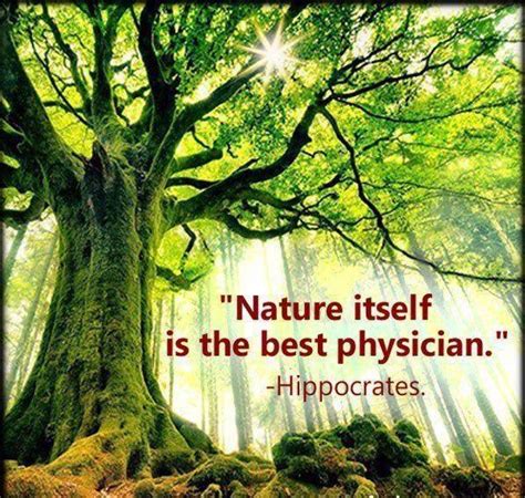 Healing Power of Nature: Enhancing Wellbeing through our Natural Environment
