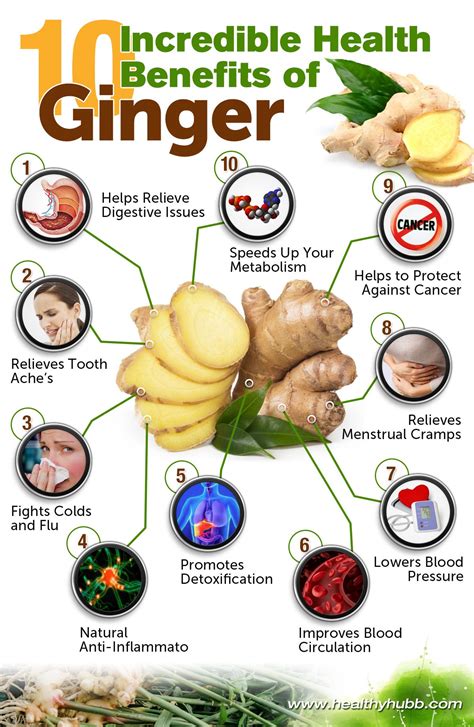 Health and Fitness Routine of Ginger Spyce