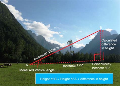 Height: The Significance of Vertical Measurements in Relationships