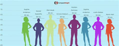 Height Comparisons and Perception in the Industry