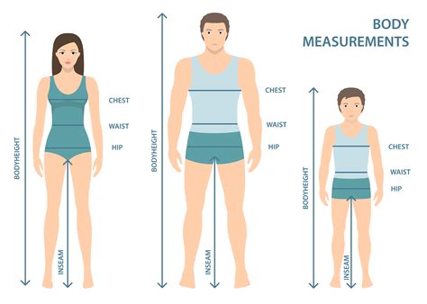 Height and Body Measurements Revealed