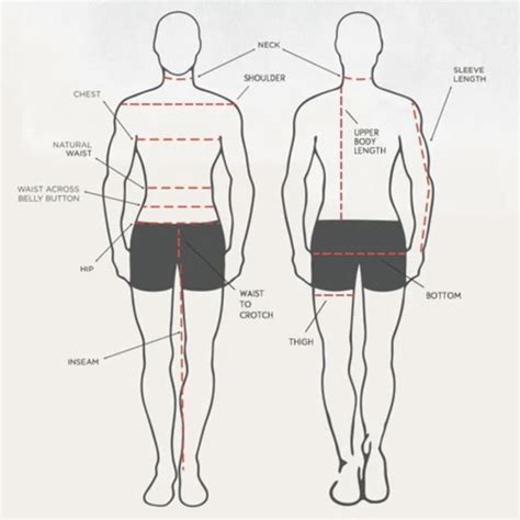 Height and Body Stats