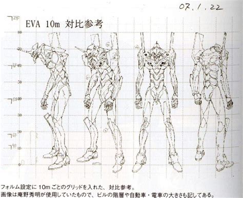 Height and Figure: Eva's Measurements