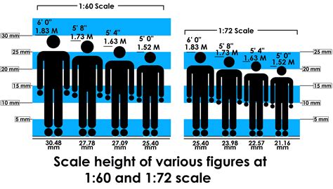 Height and Figure in Detail