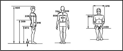 Height and Other Physical Characteristics