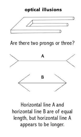 Helen Lang's Vertical Measurement: Reality or Illusion?