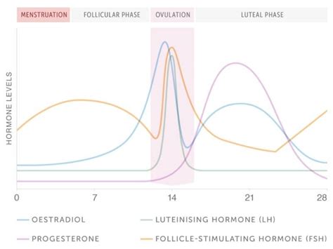 How Changes in Hormone Levels During Pregnancy Can Impact Dream Content