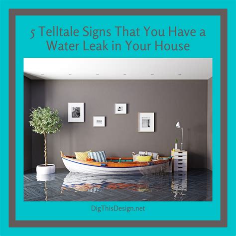 Identify the Telltale Signs: Recognizing a Potential Water Leak in Your Home