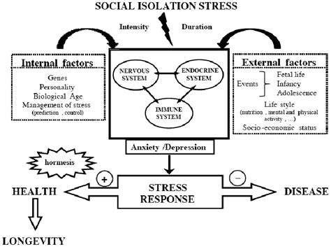 Identifying Potential Stressors: Can external factors influence the content of the dream?