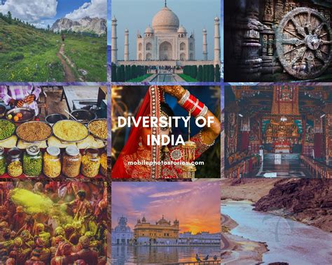 Immerse Yourself in India's Rich and Diverse Culture