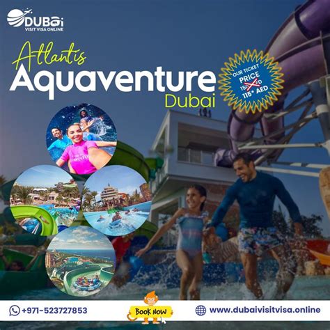 Immerse Yourself in the Breathtaking Realm of Aquatic Adventures