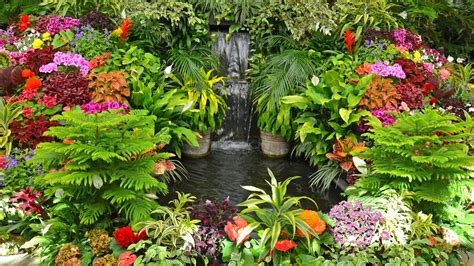 Immerse Yourself in the Exotic Beauty of Lush Tropical Flora