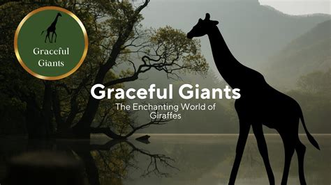 Immerse Yourself in the Majestic Beauty: Discover the Enchanting World of these Graceful Giants