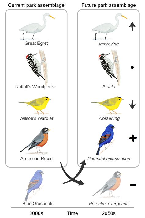 Impact of Climate Change on Avian Habitats
