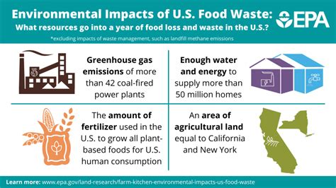 Impact of Environmental and Physical Factors on Dreams involving Consumption of Spoiled Cuisine