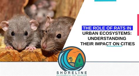 Impact on Ecosystems: The Significant Role of Giant Rodents in Nature