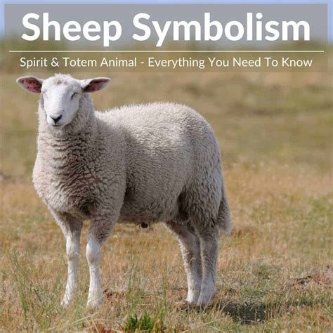 Influential Factors: Examining the Gender and Color Symbolism of Goats and Sheep in Dreams