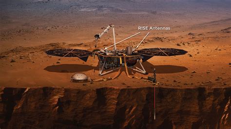 Insight into Sabi's years on Earth and vertical measurement