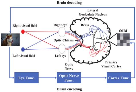 Insights for Decoding and Analyzing Arachnid Visionary Encounters