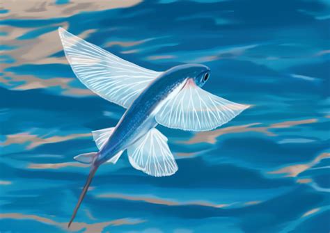 Inspiring Creativity: The Enigmatic Beauty of Flying Fish in Art and Literature