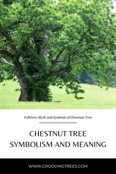 Interpreting Meaningful Dreams: Unraveling the Symbolism of the Majestic Chestnut Tree