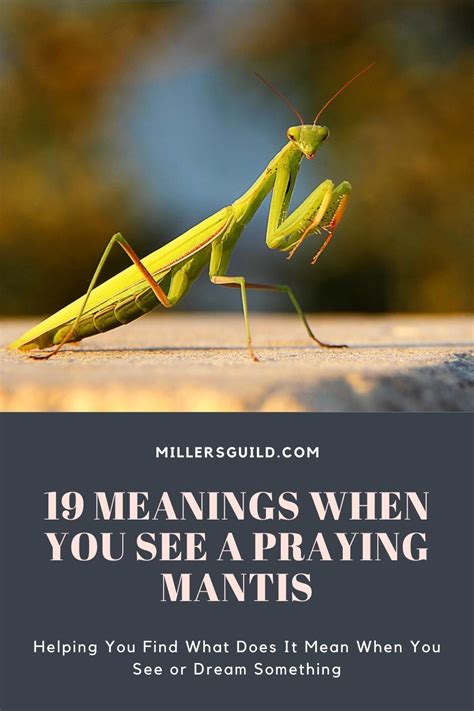 Interpreting Messages from Dreams about Praying Mantises