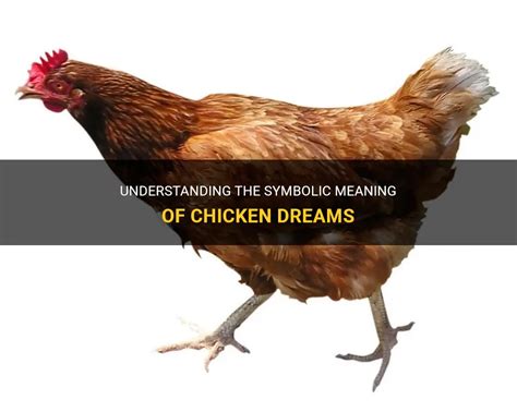 Interpreting Rooster Chicken Dreams: Decoding Their Significance