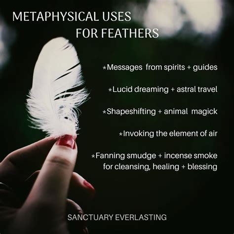 Interpreting the Dream: The Symbolic Meaning of Grasping a Feathered Creature