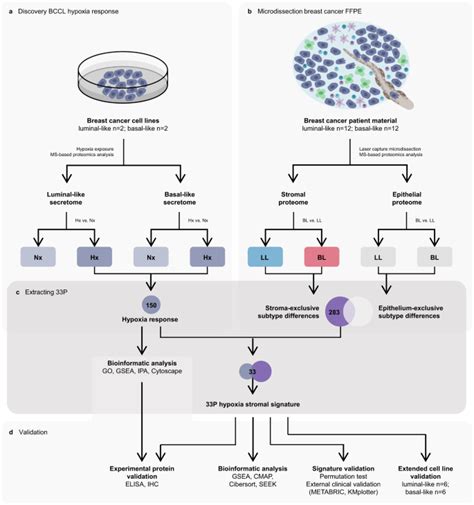 Interpreting the Symbolic Communications of Breast Cancer