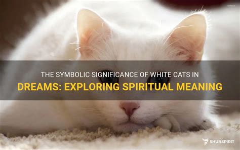 Interpreting the Symbolic Significance of Feline Flesh in Dreams