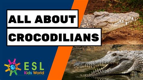 Into the Wild: Exploring the Habitat and Behavior of the Ivory-Hued Crocodilians