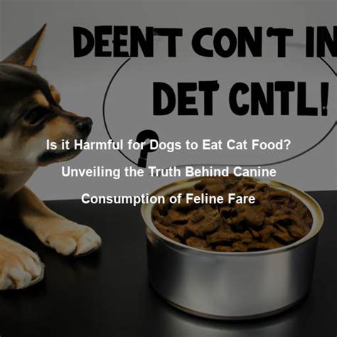 Intriguing Insights: Unveiling the Meaning Behind Canine Consumption