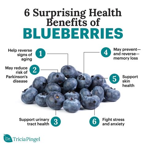 Juicy and Nutritious: The Health Benefits of Blueberries