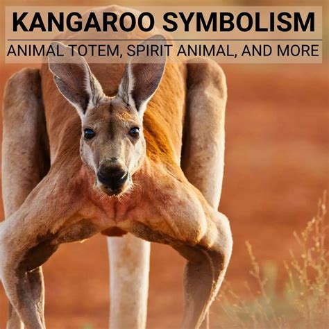 Kangaroo Dreams in Popular Culture: From Art to Literature