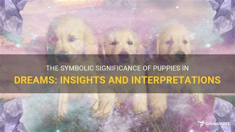 Key Factors in Deciphering the Symbolic Meaning of a Puppy's Micturition