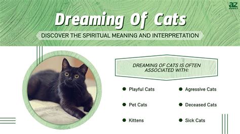 Kicking Cats in Dreams: What Does it Signify?