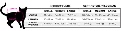 Kitty K's Height Measurement