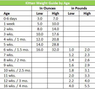 Kitty K's Weight and Body Shape