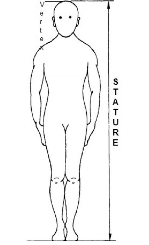 Lea Sterli's Height: A Vertical Measurement of Her Stature