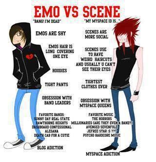 Learn about Tiny Emo's age and physical dimensions