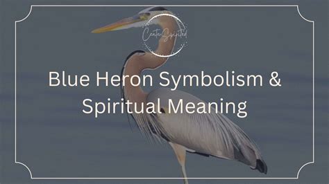 Legends and Folklore: The Mythical Symbolism of the Majestic Great Blue Heron