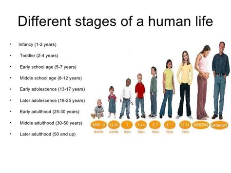 Life Stage and Personal Details