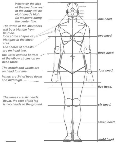 Life Story - Years Lived - Body Proportions