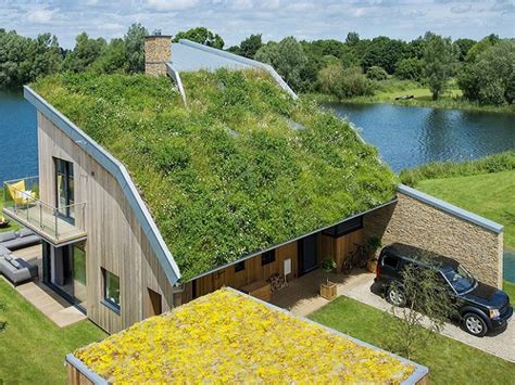 Living the Green Life: Sustainable Upgrades for Your Dream Residence