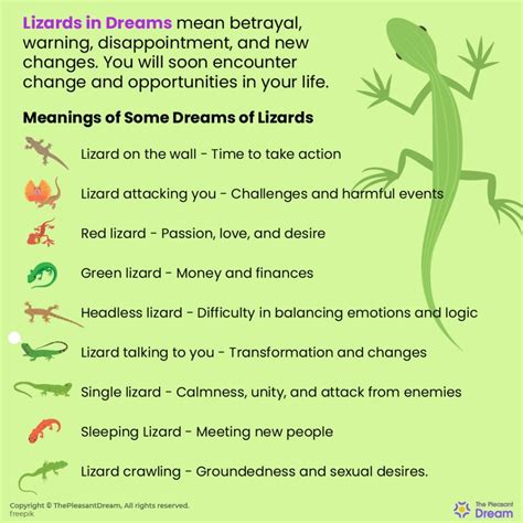 Lizards in Various Dream Scenarios: Interpreting the Messages